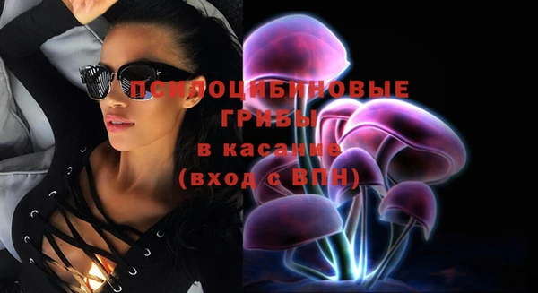 ALPHA PVP Краснослободск