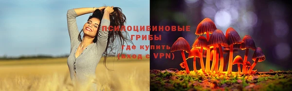 ALPHA PVP Краснослободск