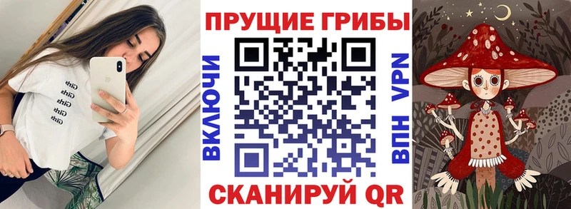 мега как войти  наркота  Ессентукская  Галлюциногенные грибы мицелий 