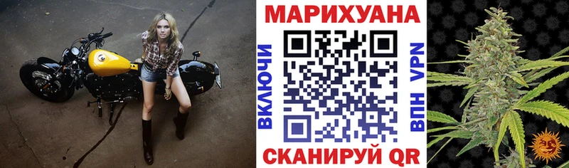 Каннабис сатива  блэк спрут рабочий сайт  Ессентукская 